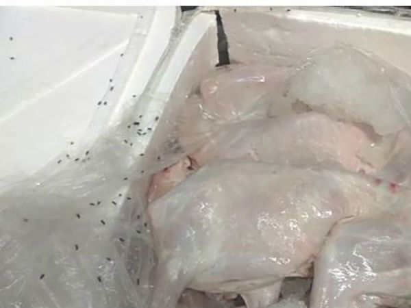 வேகன் அரசியல் 