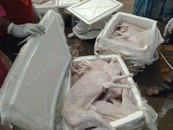 குற்றச்சாட்டு 