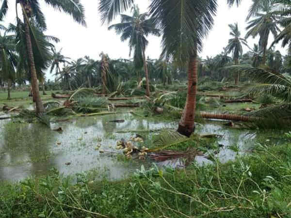 பைக்கில் குடிநீர் 
