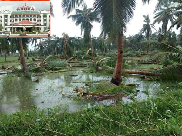 Madras High Court says union government to release the relief fund to the Tamilnadu with in one week Madras High Court says union government to release the relief fund to the Tamilnadu with in one week