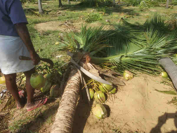 கைகள் நடுங்குகிறது 