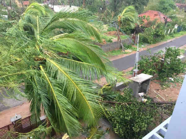 சபரிமலையில் மழை 