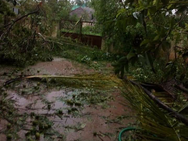  உணவு பொருட்கள்