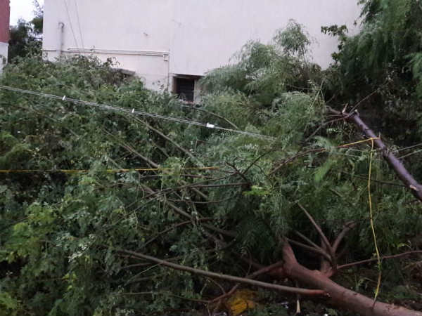  கோடிகளை கொடுத்தீங்க