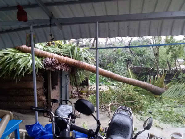 ராணுவம் வரவில்லை 