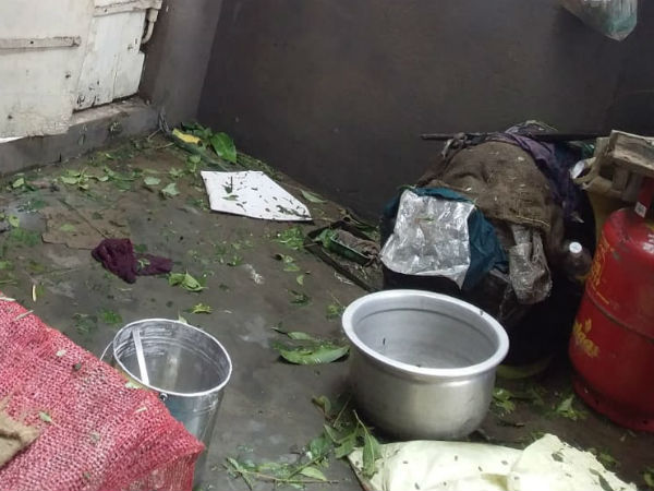  14 குழுக்கள்