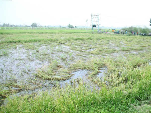 சர்ச்சை 