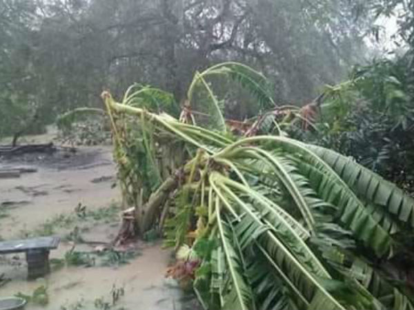 Rs. 10 thousand crores affected for Tamilnadu in Gaja cyclone, says Tamilnadu government Rs. 10 thousand crores affected for Tamilnadu in Gaja cyclone, says Tamilnadu government