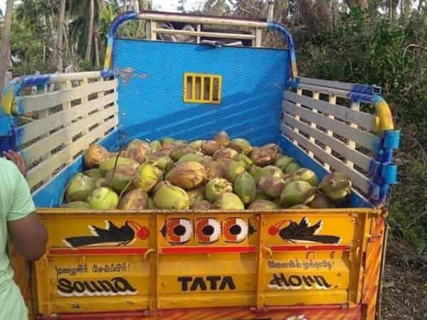 இளகும் மக்கள் 