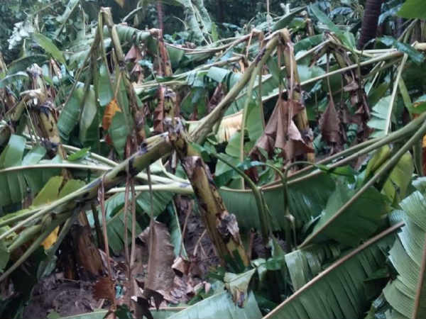 எல்லாமே போய் விட்டது 