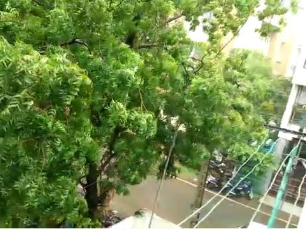 பாதுகாப்பாக இருக்க அறிவுறுத்தல் 