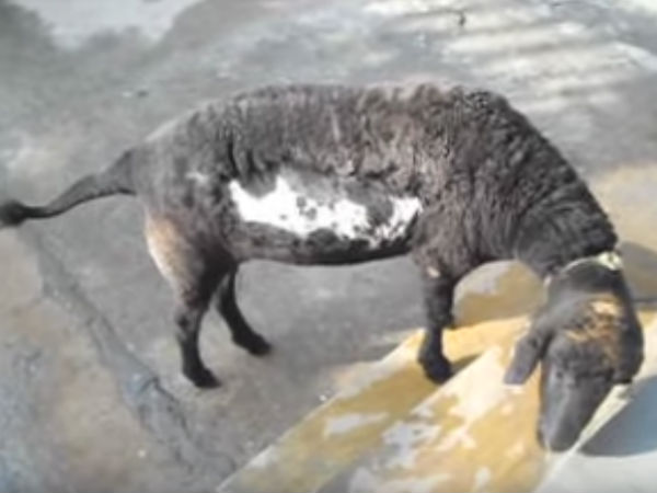 புகைப்படங்கள் 