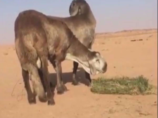 சென்னை வரவழைத்தார் 