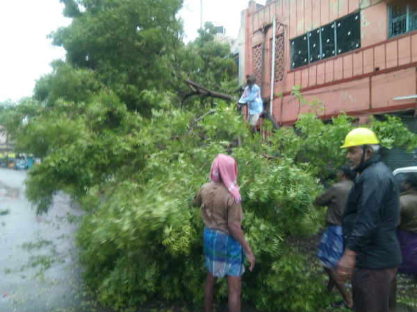 கலெக்டர் ராசாமணி 