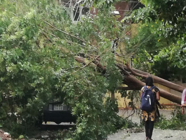போக்குவரத்து துண்டிப்பு 