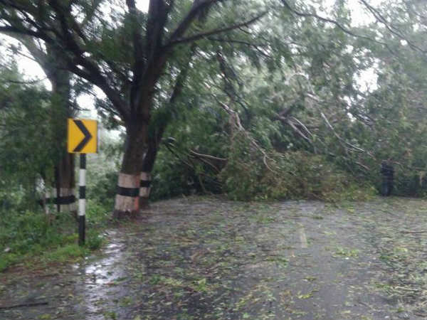 தூக்கில் தொங்கினார்கள் 