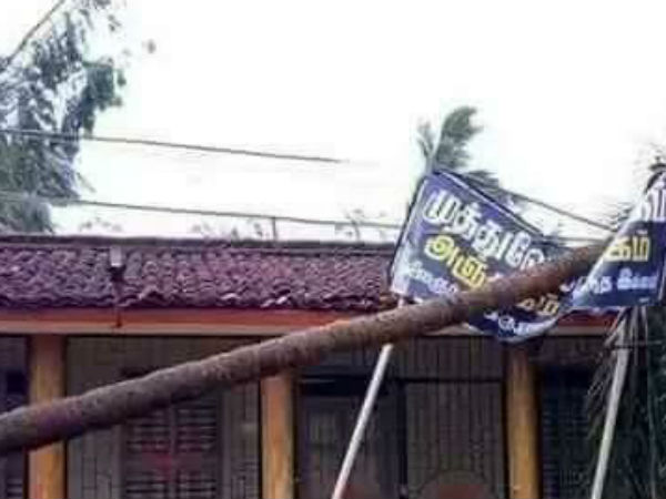 தொண்டர்கள் நிம்மதி 