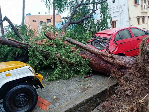 காவு வாங்கிய கஜா 