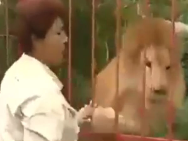 துள்ளி ஓடுகிறது 