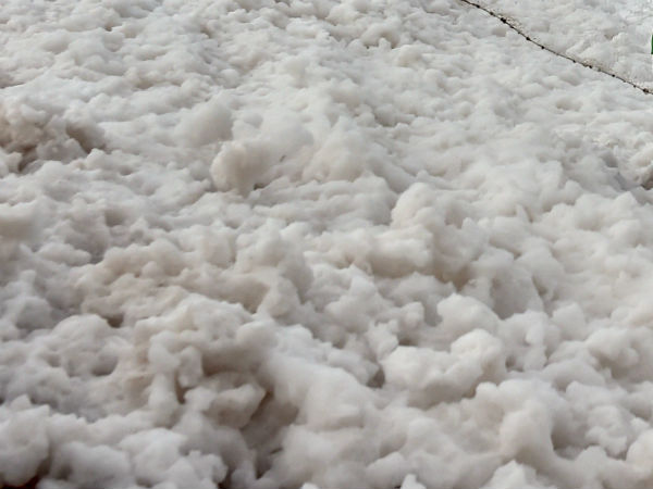 கூவம் கழிவுகள் 