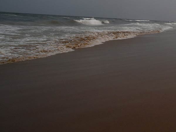 மண் போட்டு மூட முயற்சி 