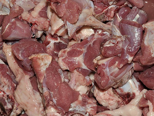 கெட்டுப்போன இறைச்சி கெட்டுப்போன இறைச்சி