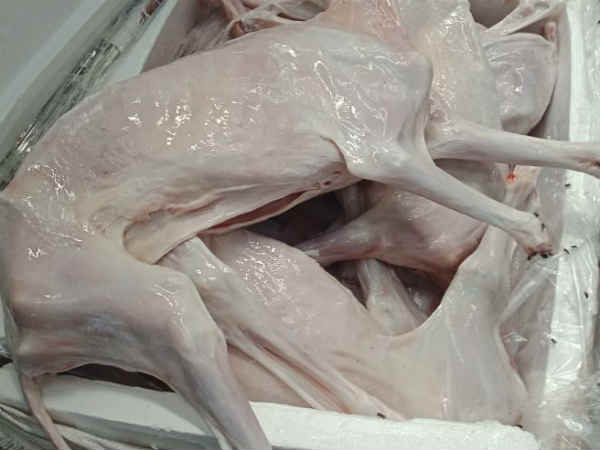 தண்டனை ஏத்துக்கறோம் 