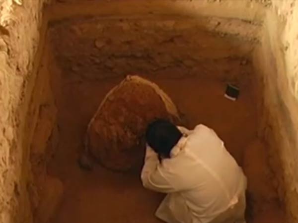 தொடர்புபடுத்தி உள்ளனர் 