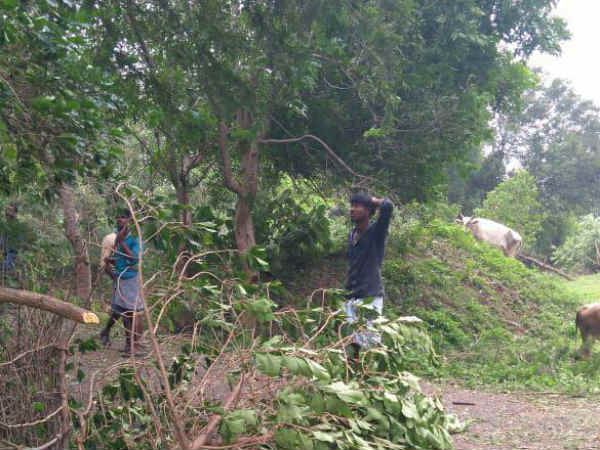 புயல் கடந்த நாகை மாவட்டம் 