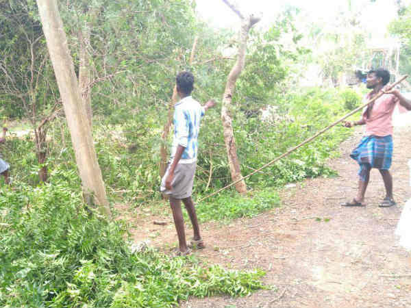 கிராமப்புறங்களில் சேதம் 