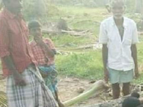  இப்படி ஒரு கூட்டமா? 