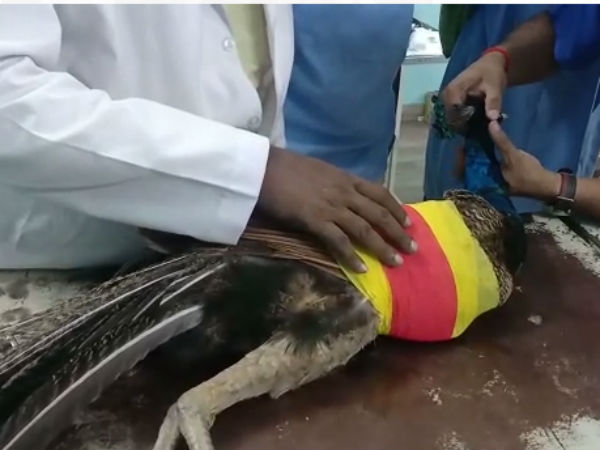 சிறிய பிளேட் 