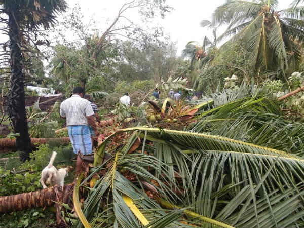 நிவாரண பணிகள் 