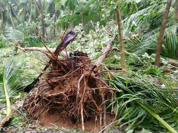 வாசகர்களும் உதவலாமே? 