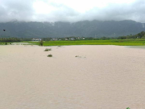 சென்னையில் மழை 