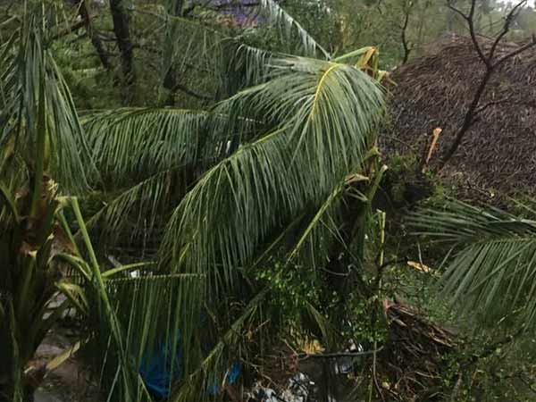 மிக மோசம் 