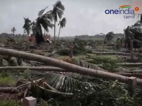 குளிரால் உயிரிழப்பு 