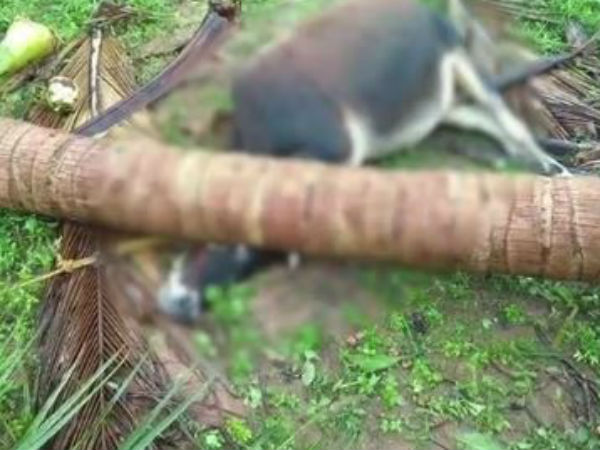 திணறும் மக்கள் 