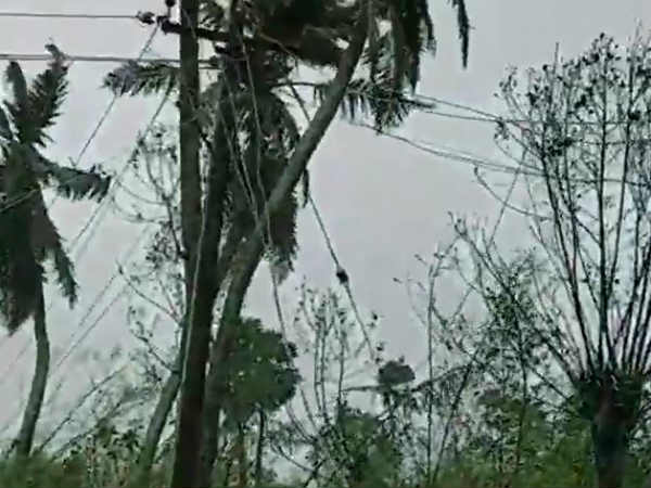உங்கள யார் அனுப்பினது? 