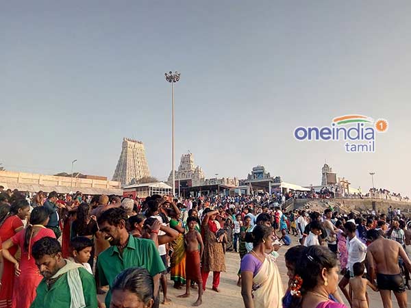 மந்திர சக்தி நிறைந்த பன்னீர் இலைகள்