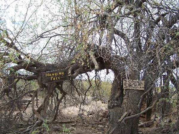 சிலர் காப்பாற்றினார்கள் 