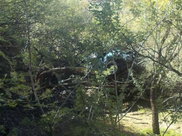 மருத்துவமனை 