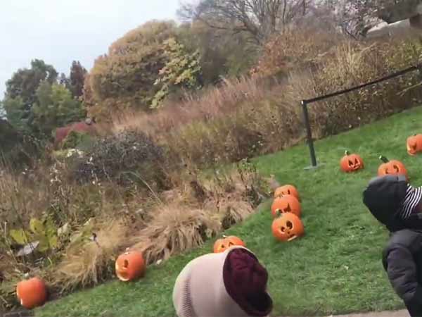 US celebrates jack-o-lantern 