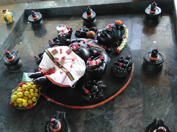 Navagraha Homam and Vasthu Pooja at Sri danvantri arokya peedam Navagraha Homam and Vasthu Pooja at Sri danvantri arokya peedam