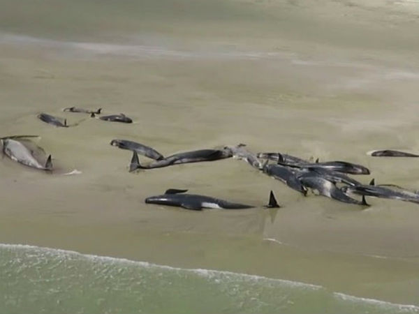 என்ன காரணம் 