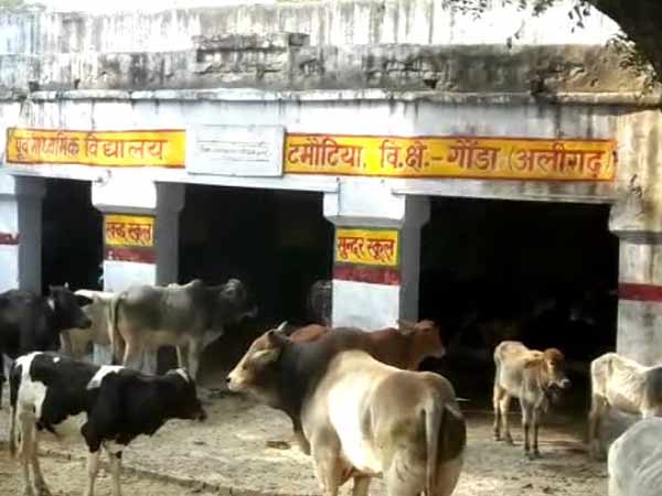 முதல்வர் உத்தரவு முதல்வர் உத்தரவு