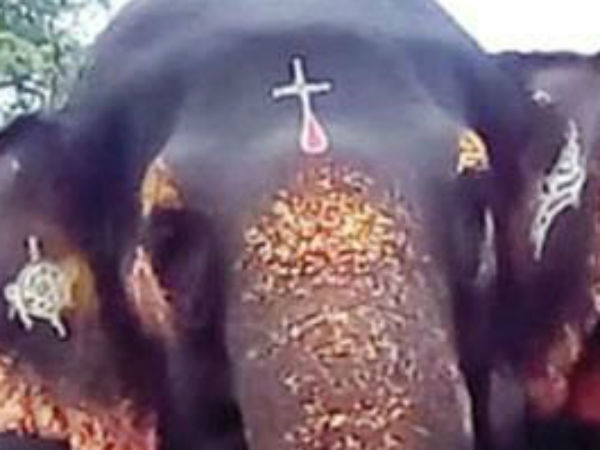 ஆண்டாள் 