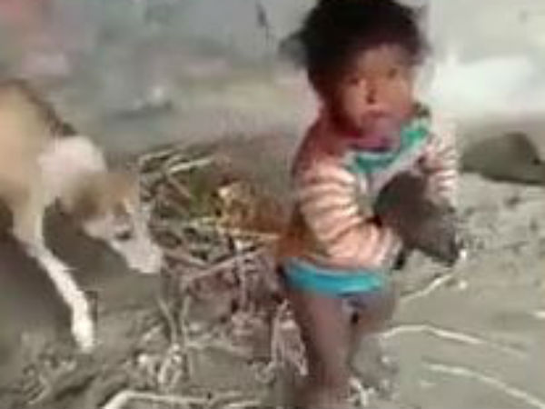 கவ்விய நாய் 