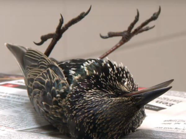 நினைவுக்கு வருகிறது நினைவுக்கு வருகிறது