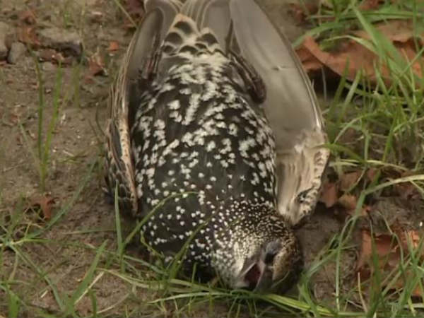 ஆதாரம் இல்லை ஆதாரம் இல்லை